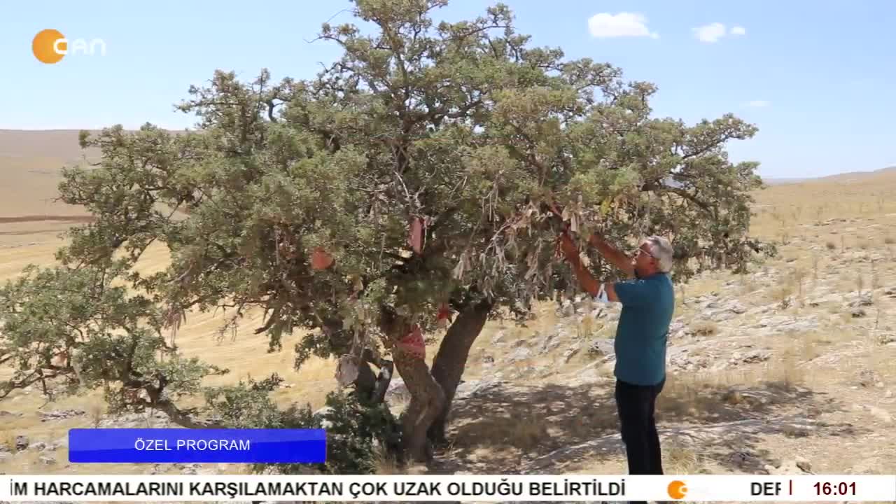 - Şagırt û Hazkırnê Ali Haki Edna Cem Bun, 
- Lı Gundê Bıraganiye Ali Haki Edna Hat Bîranîn. 
- Elif Tabak ile Özel Program. - CANTV