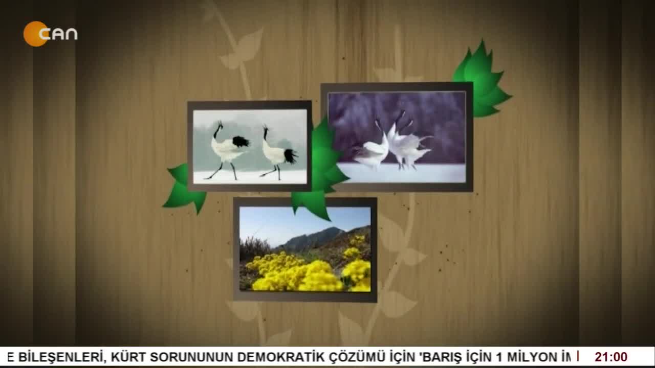 Sezai Yılmaz ile Turnalar Programı Sizlerle. - CANTV